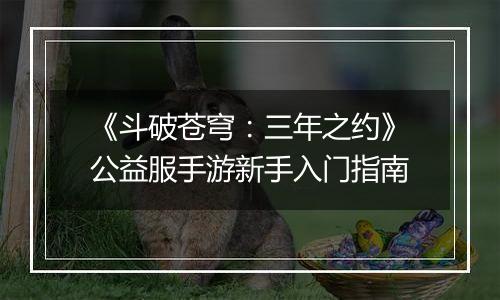 《斗破苍穹：三年之约》公益服手游新手入门指南