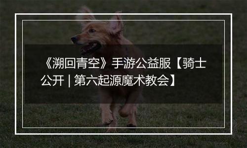 《溯回青空》手游公益服【骑士公开 | 第六起源魔术教会】