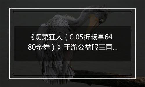 《切菜狂人（0.05折畅享6480金券）》手游公益服三国阵容推荐