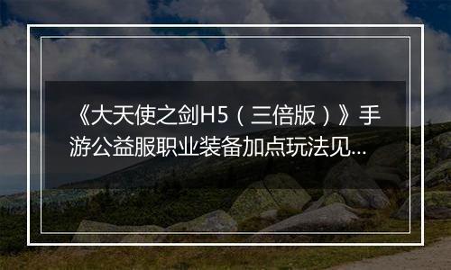 《大天使之剑H5（三倍版）》手游公益服职业装备加点玩法见解