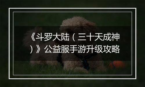 《斗罗大陆（三十天成神）》公益服手游升级攻略
