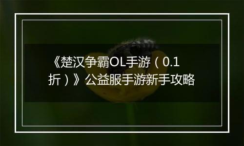 《楚汉争霸OL手游（0.1折）》公益服手游新手攻略