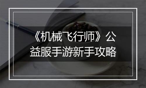 《机械飞行师》公益服手游新手攻略