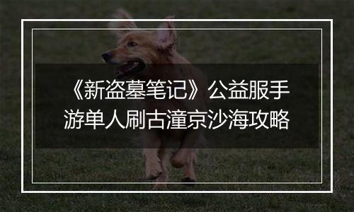 《新盗墓笔记》公益服手游单人刷古潼京沙海攻略
