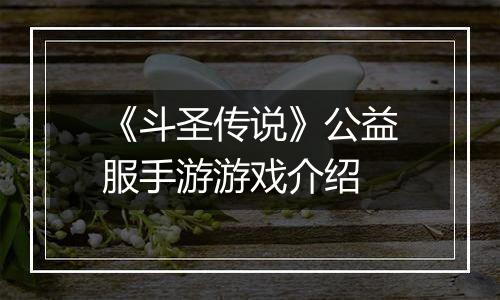 《斗圣传说》公益服手游游戏介绍
