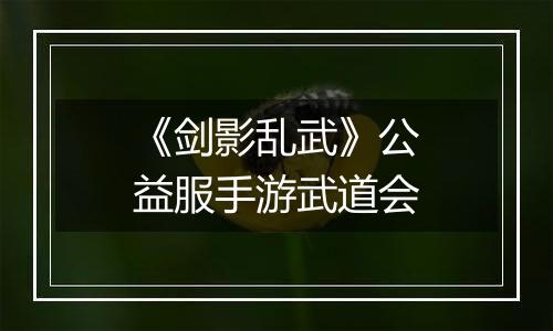 《剑影乱武》公益服手游武道会