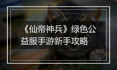 《仙帝神兵》绿色公益服手游新手攻略
