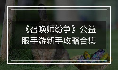 《召唤师纷争》公益服手游新手攻略合集