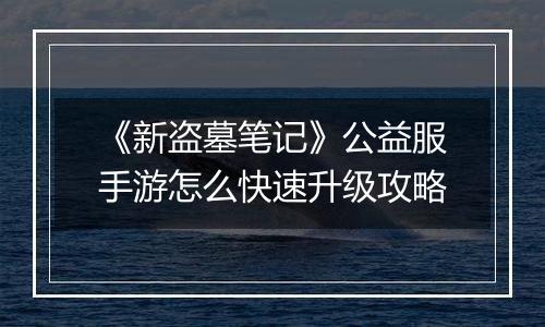 《新盗墓笔记》公益服手游怎么快速升级攻略