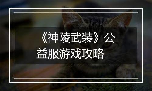《神陵武装》公益服游戏攻略