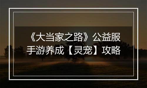 《大当家之路》公益服手游养成【灵宠】攻略