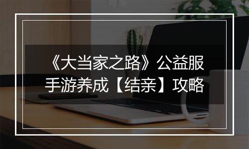 《大当家之路》公益服手游养成【结亲】攻略