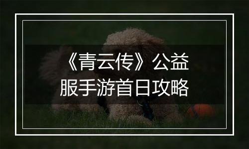 《青云传》公益服手游首日攻略