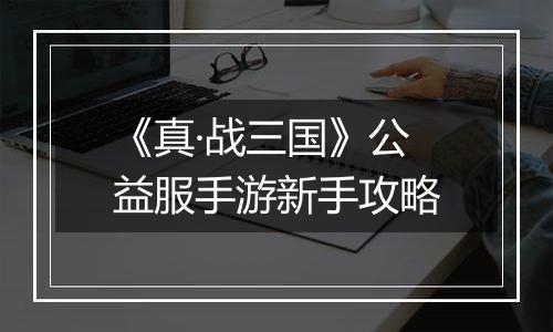 《真·战三国》公益服手游新手攻略