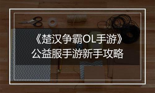 《楚汉争霸OL手游》公益服手游新手攻略