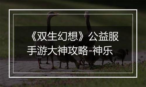 《双生幻想》公益服手游大神攻略-神乐