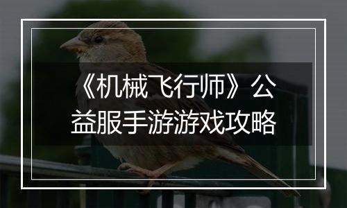 《机械飞行师》公益服手游游戏攻略