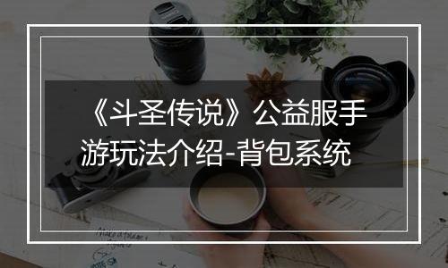 《斗圣传说》公益服手游玩法介绍-背包系统