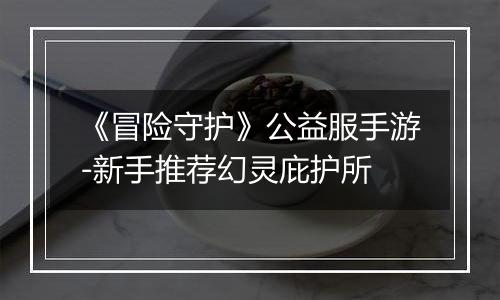 《冒险守护》公益服手游-新手推荐幻灵庇护所