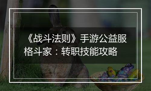 《战斗法则》手游公益服格斗家：转职技能攻略