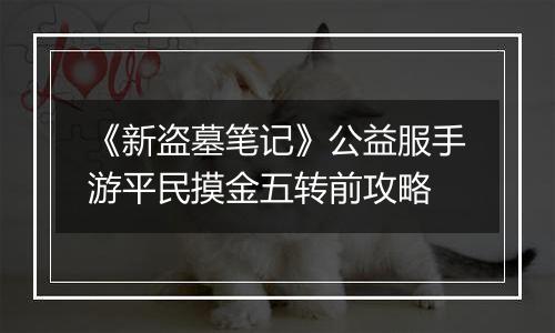《新盗墓笔记》公益服手游平民摸金五转前攻略