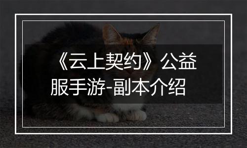 《云上契约》公益服手游-副本介绍