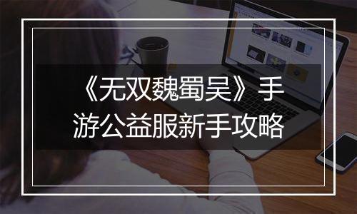 《无双魏蜀吴》手游公益服新手攻略