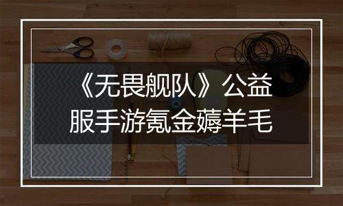 《无畏舰队》公益服手游氪金薅羊毛
