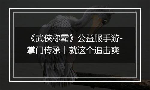 《武侠称霸》公益服手游-掌门传承丨就这个追击爽
