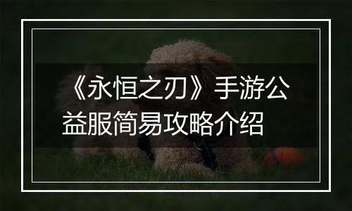 《永恒之刃》手游公益服简易攻略介绍