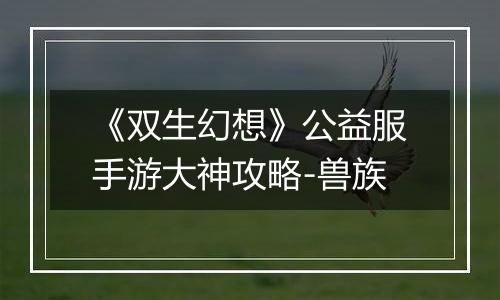 《双生幻想》公益服手游大神攻略-兽族