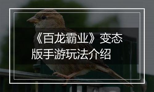 《百龙霸业》变态版手游玩法介绍