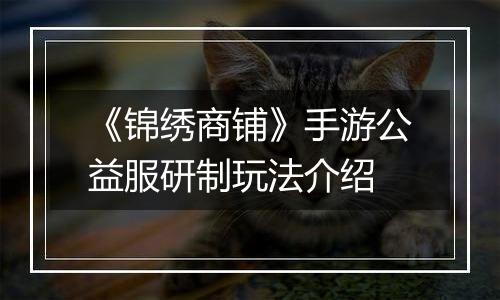 《锦绣商铺》手游公益服研制玩法介绍