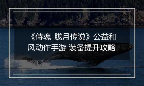《侍魂-胧月传说》公益和风动作手游 装备提升攻略
