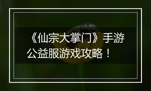 《仙宗大掌门》手游公益服游戏攻略！