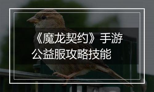 《魔龙契约》手游公益服攻略技能