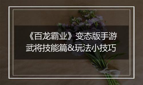 《百龙霸业》变态版手游武将技能篇&玩法小技巧