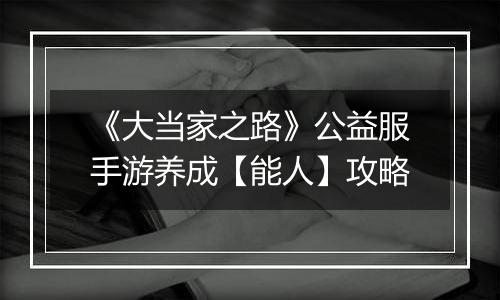 《大当家之路》公益服手游养成【能人】攻略