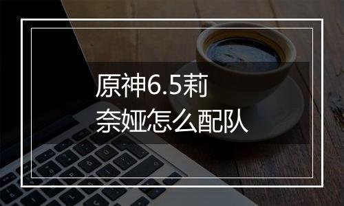 原神6.5莉奈娅怎么配队