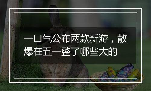 一口气公布两款新游，散爆在五一整了哪些大的