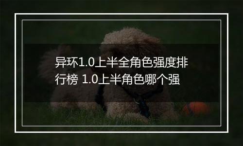 异环1.0上半全角色强度排行榜 1.0上半角色哪个强