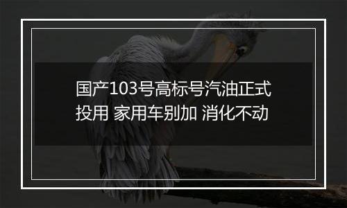 国产103号高标号汽油正式投用 家用车别加 消化不动
