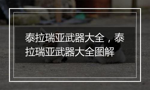 泰拉瑞亚武器大全，泰拉瑞亚武器大全图解