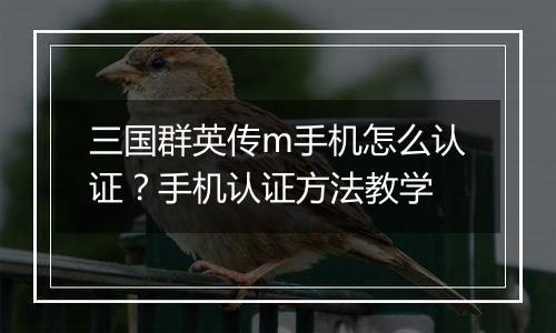 三国群英传m手机怎么认证？手机认证方法教学