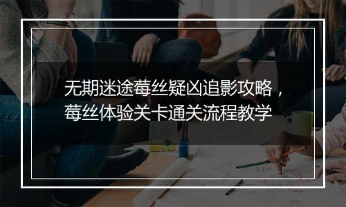 无期迷途莓丝疑凶追影攻略，莓丝体验关卡通关流程教学