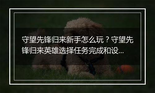 守望先锋归来新手怎么玩？守望先锋归来英雄选择任务完成和设置调试详细教学
