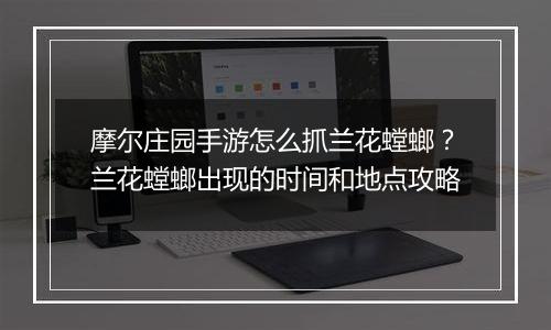 摩尔庄园手游怎么抓兰花螳螂？兰花螳螂出现的时间和地点攻略