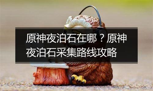原神夜泊石在哪？原神夜泊石采集路线攻略
