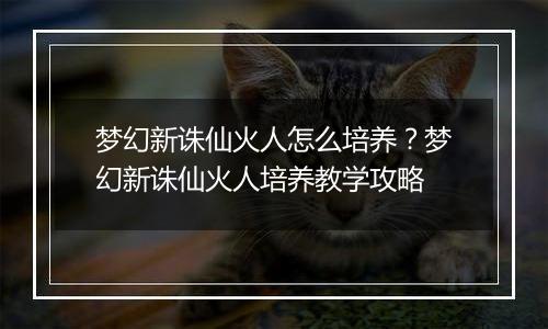 梦幻新诛仙火人怎么培养？梦幻新诛仙火人培养教学攻略