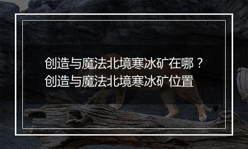 创造与魔法北境寒冰矿在哪？创造与魔法北境寒冰矿位置